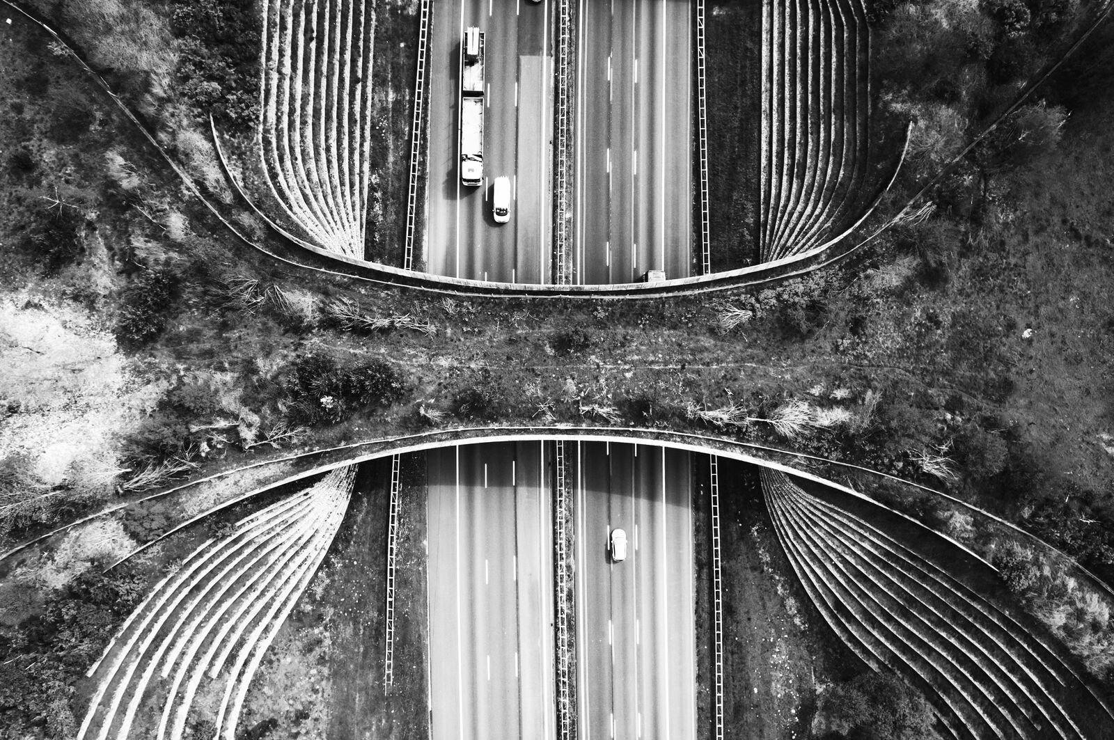 drone image of green overpass above highway