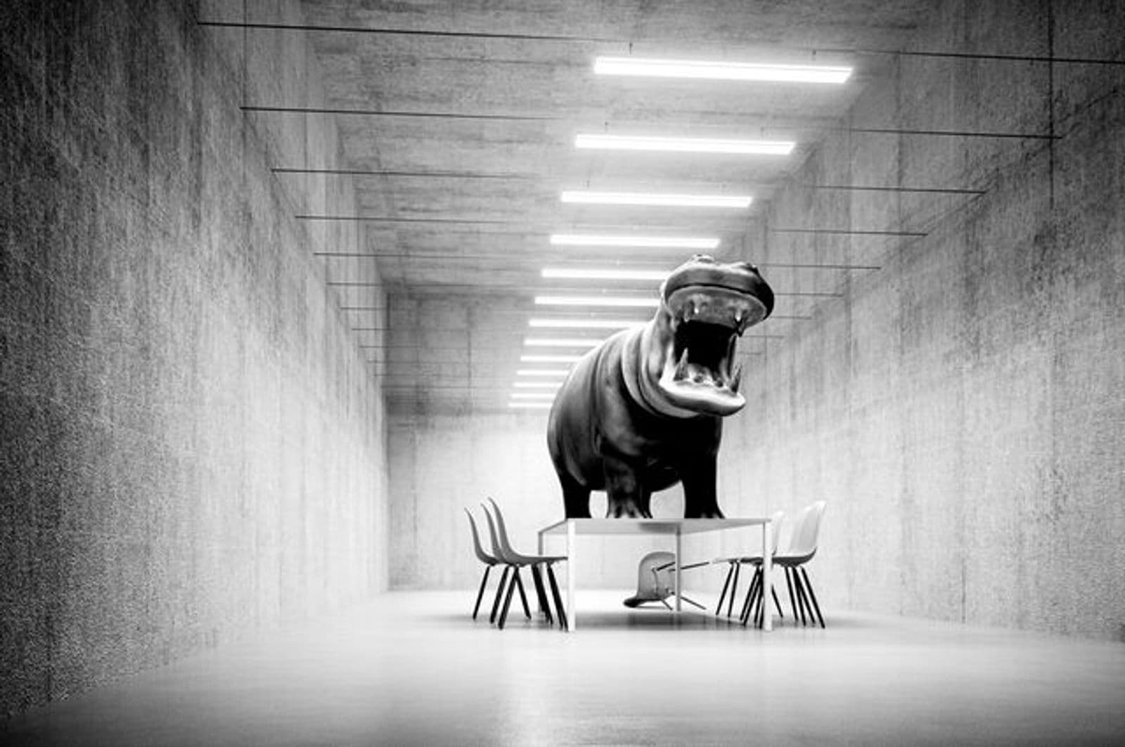 rhino standing on top of a table surrounded by chairs